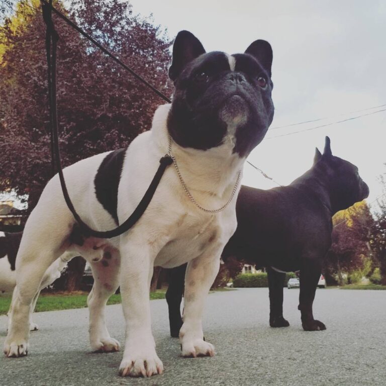 ROLAND MOURET PAR ESQUISSE