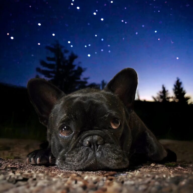 SIMONE MIRMEN PAR ESQUISSE