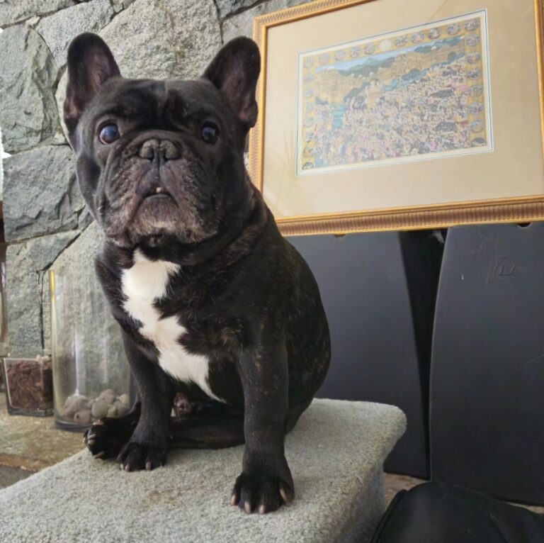 PACO RABANNE PAR ESQUISSE